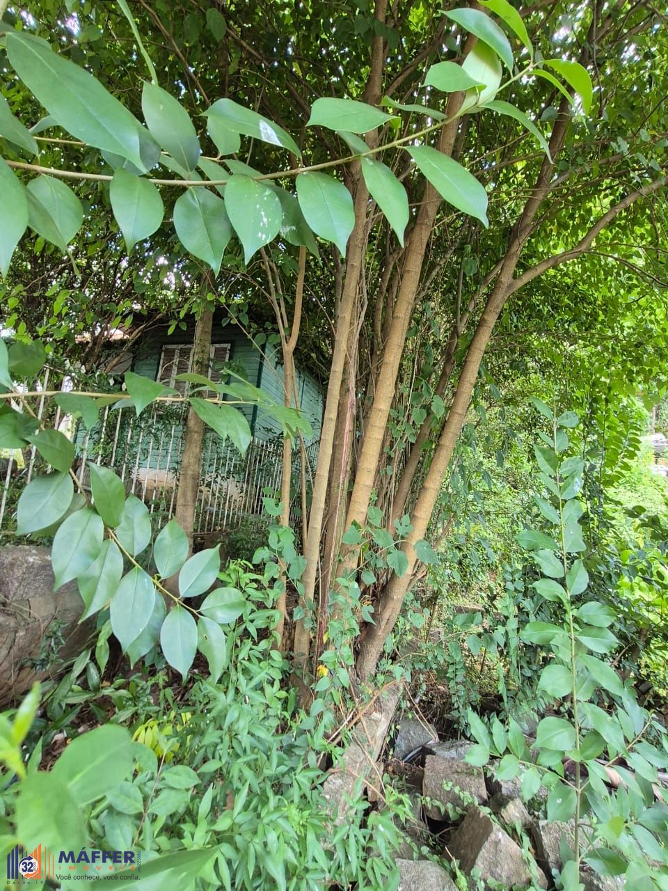 Terreno, 268 m² - Foto 10
