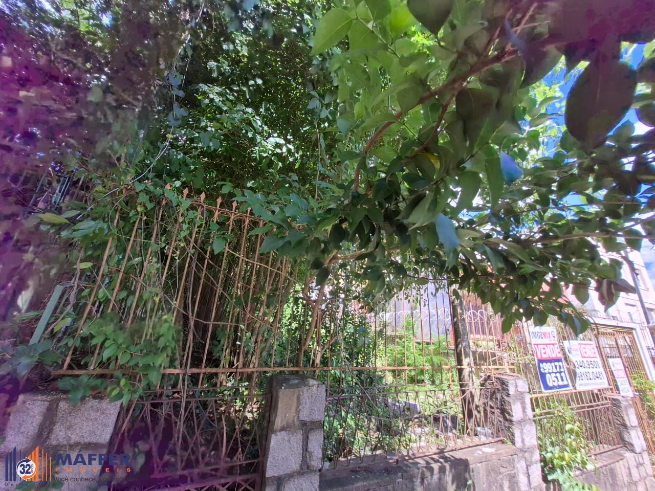 Terreno, 268 m² - Foto 6