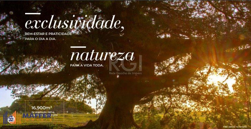 Terreno, à venda, 250 m², Coronel Nassuca - Guaíba — foto 3