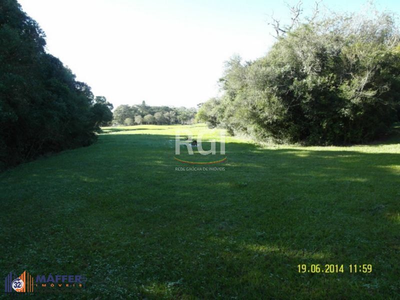 Terreno, à venda, 35.000 m², Centro Histórico - Morro Reuter — foto 4