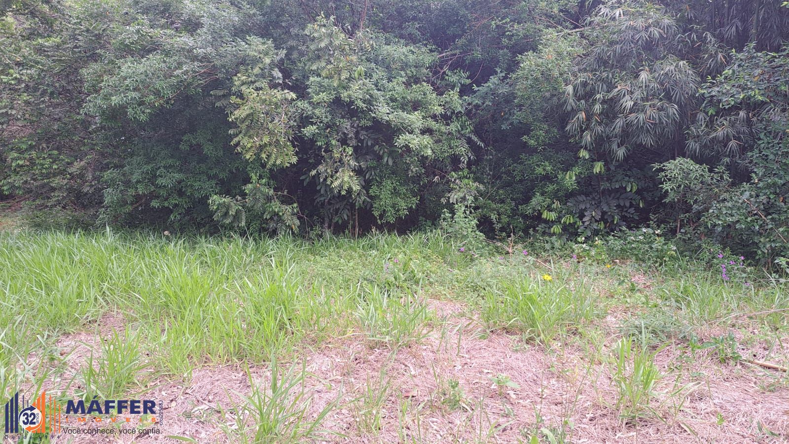 Terreno, à venda, Centro Histórico - Canoas — foto 5