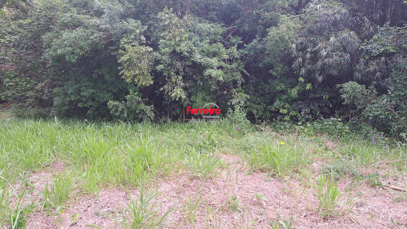 Terreno, à venda, Centro Histórico - Canoas — foto 5