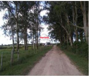 Terreno, à venda, Vila Santa Rosa - Rio Grande — foto 3