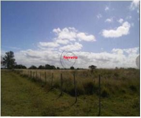 Terreno, à venda, Vila Santa Rosa - Rio Grande — foto 5
