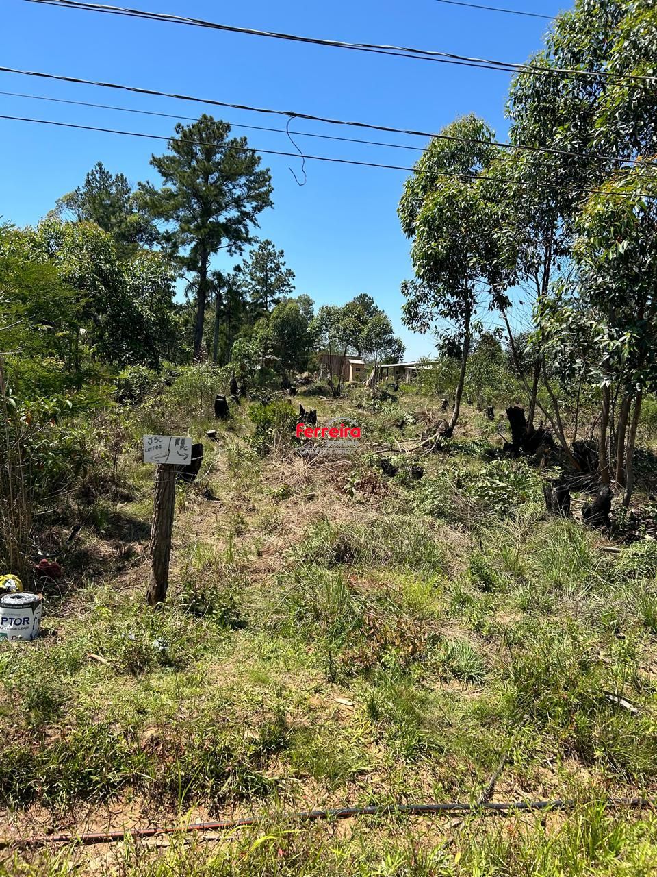 Terreno, à venda, Lageado - Porto Alegre — foto 2