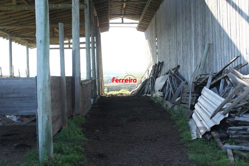 Terreno, à venda, Padre Elly - General Câmara — foto 3