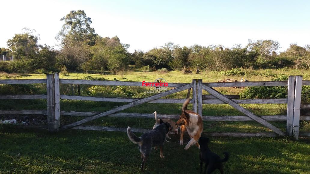 Sítio, 1 quarto, à venda, 30.496 m², Pedreira - Nova Santa Rita — foto 5