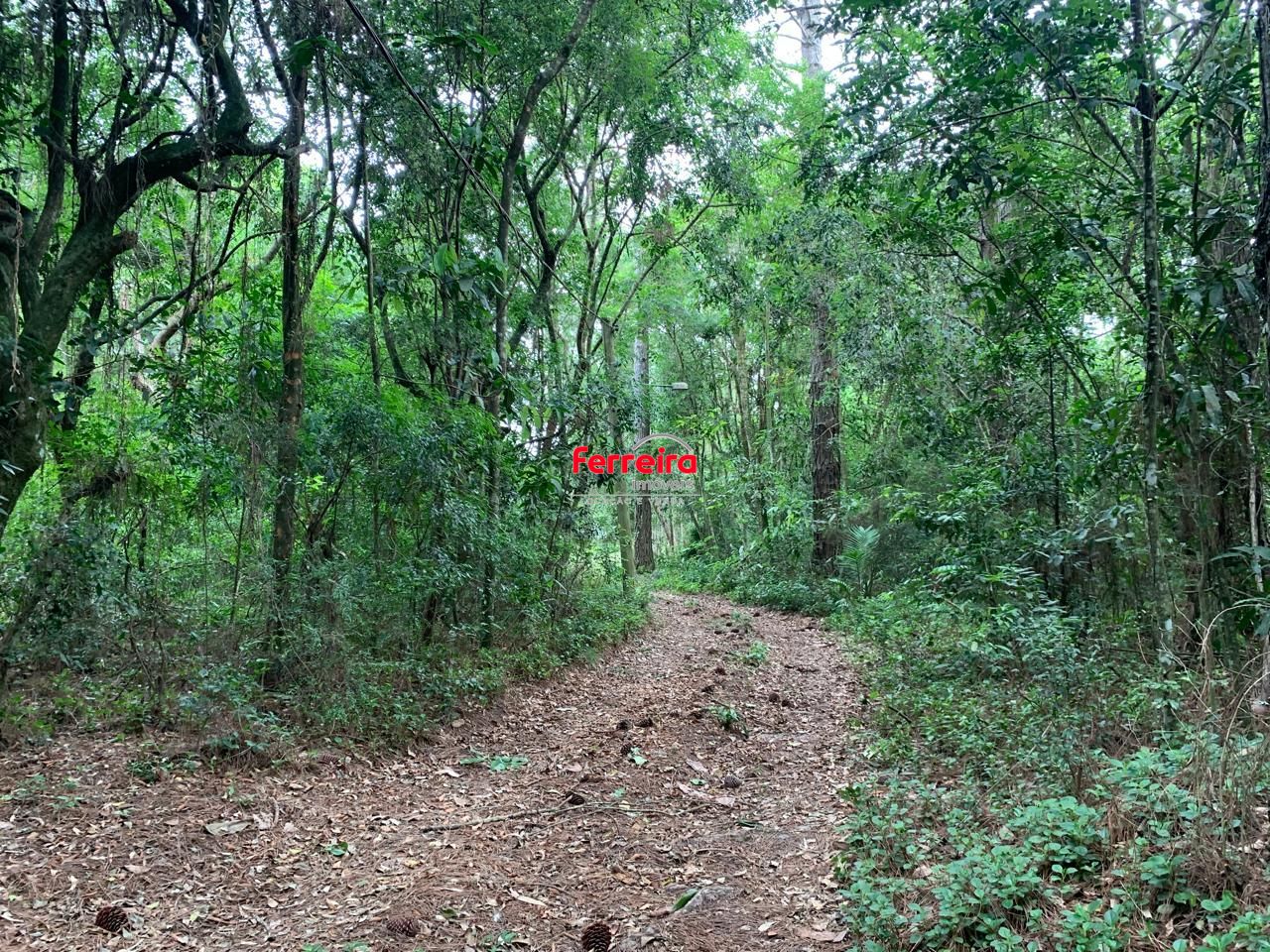 Sítio, 3 quartos, à venda, 500 m², Águas Claras - Viamão — foto 5