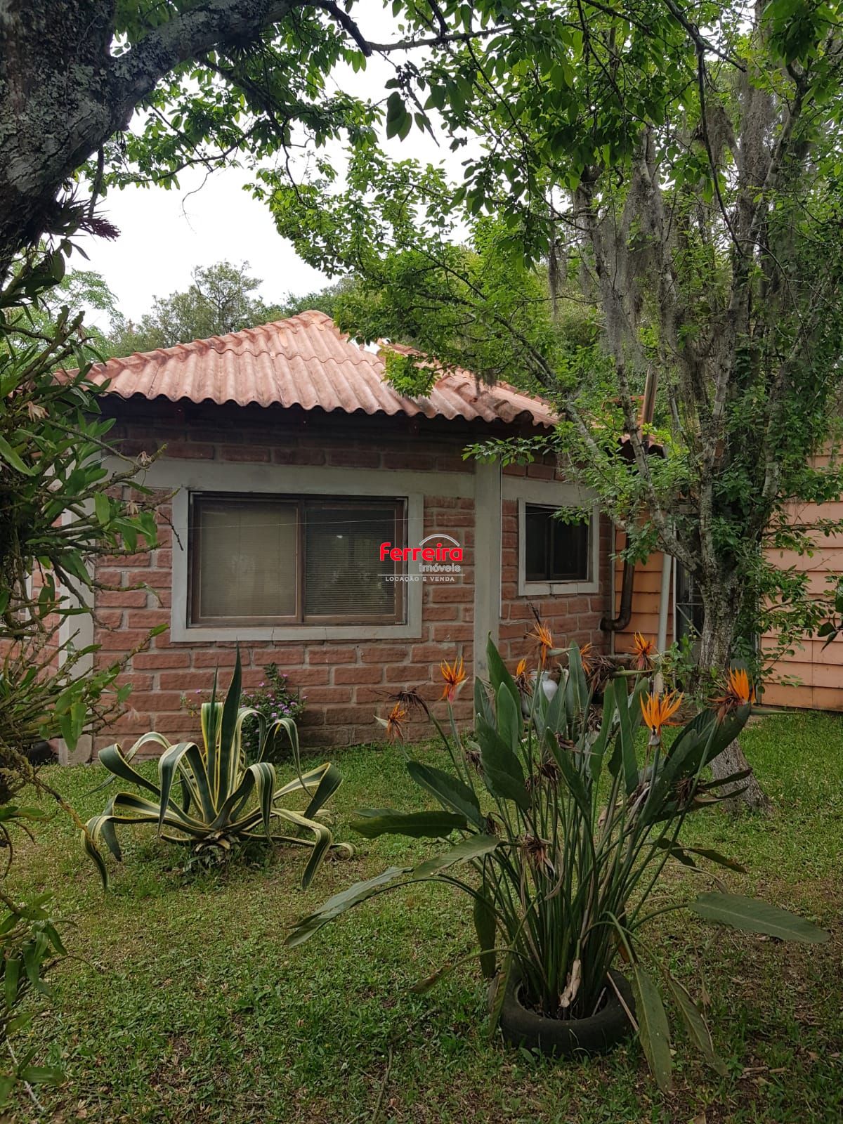 Lindo Sítio em Àguas Claras com 2ha - PORTEIRA FECHADA.