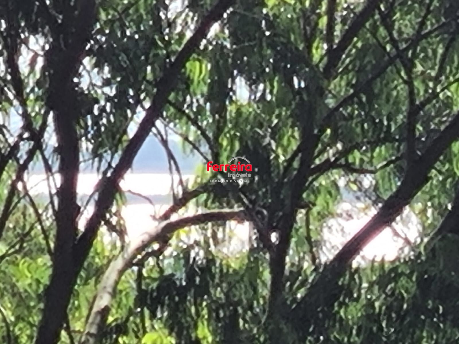 Sítio no Parque Florestal em Itapuã de 3.930 m² em Viamão