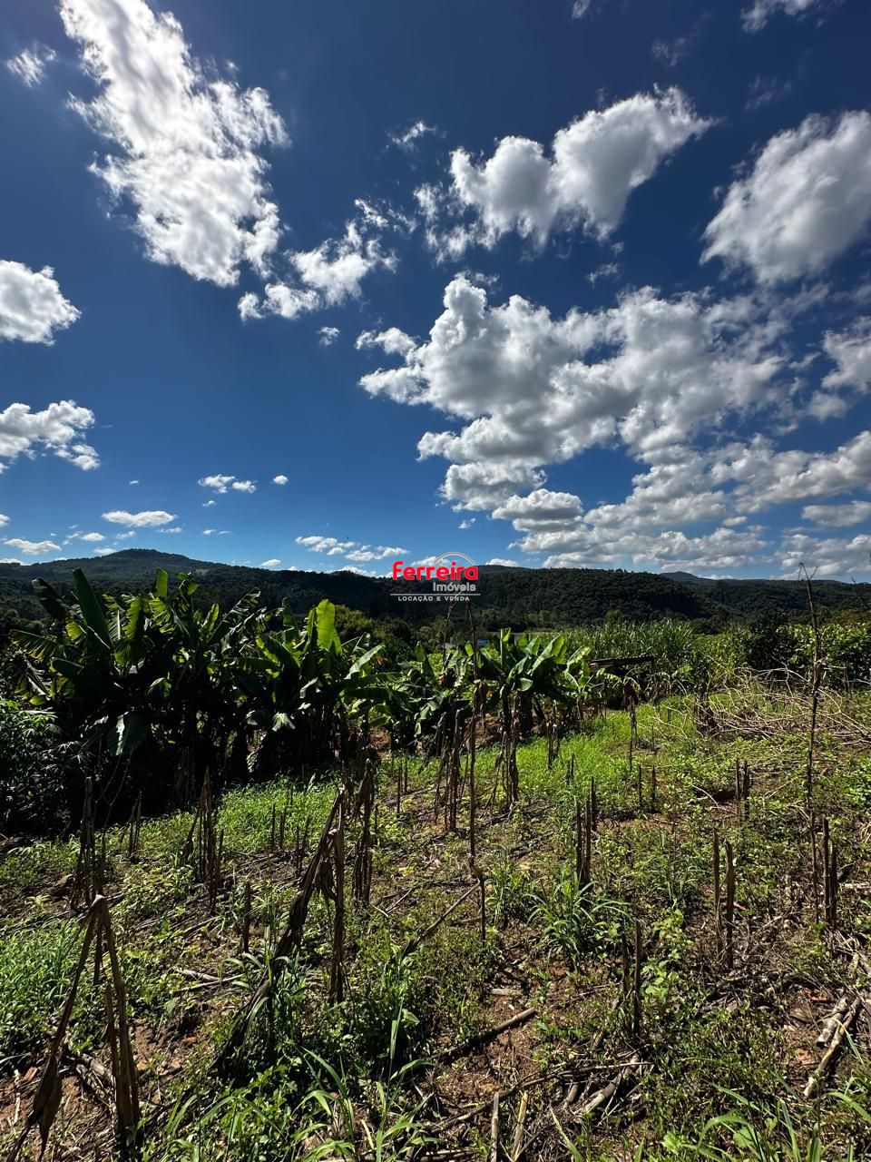 Terreno, à venda, Feitoria Nova - Ivoti — foto 5