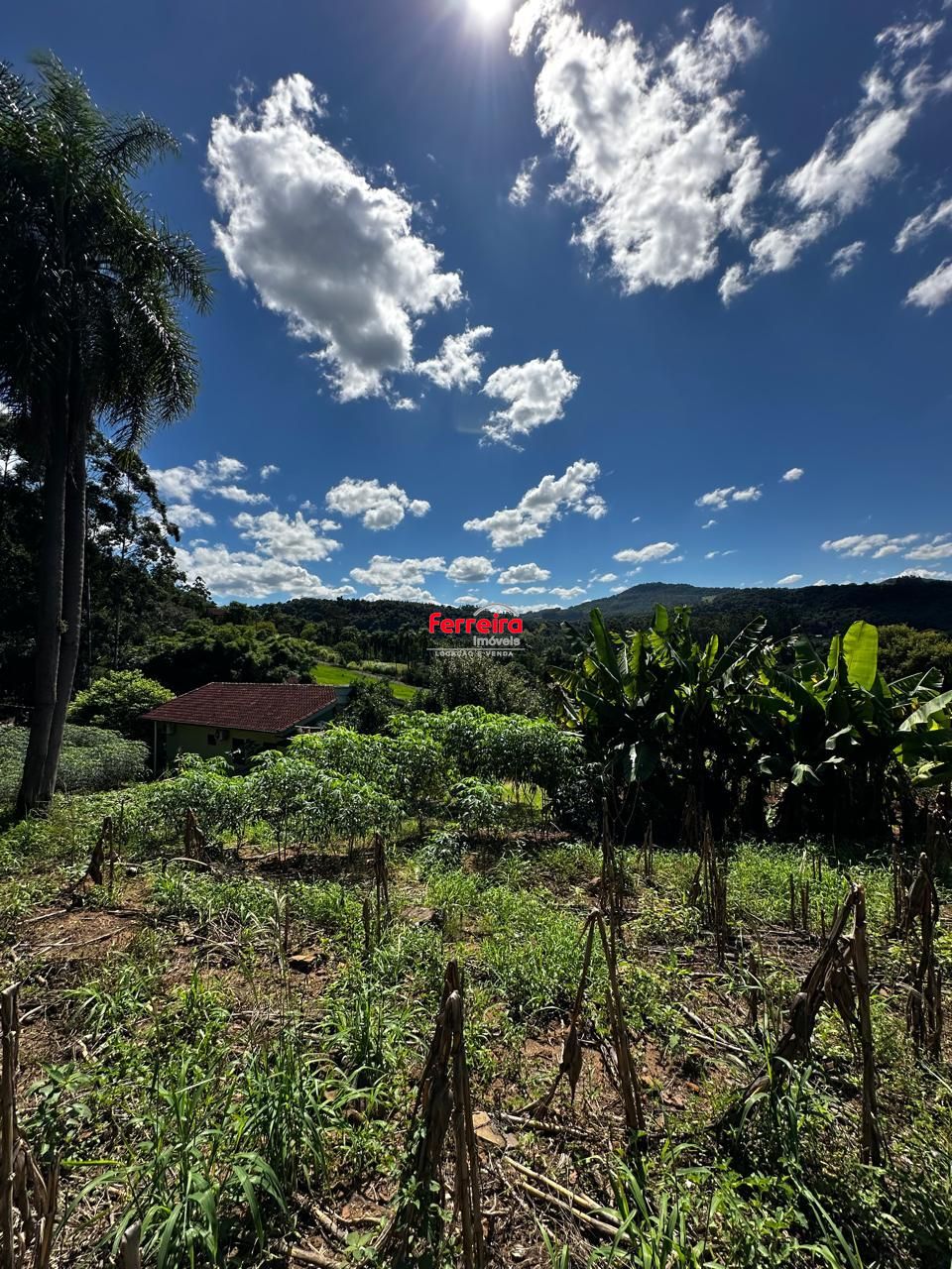 Terreno, à venda, Feitoria Nova - Ivoti — foto 4