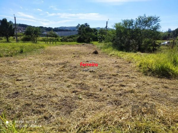 Terreno, à venda, Espírito Santo - Porto Alegre — foto 2