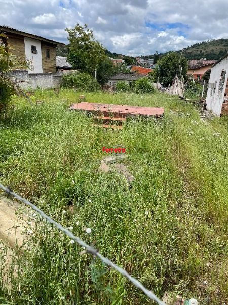 Terreno, à venda, Espírito Santo - Porto Alegre — foto 4