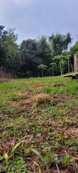 Terreno, à venda, Ipanema - Porto Alegre — foto 3