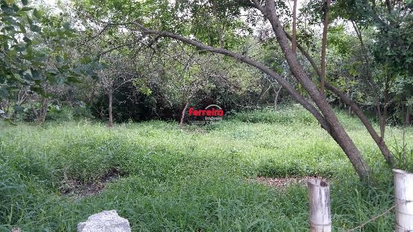 Terreno para Venda - 0m², 0 dormitórios, Lami