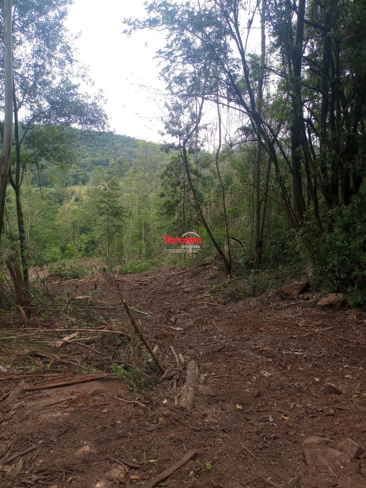 Terreno, à venda, Padilha - Taquara — foto 4