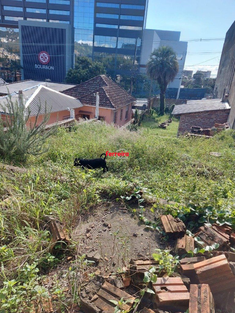 Terreno, à venda, Glória - Porto Alegre — foto 3