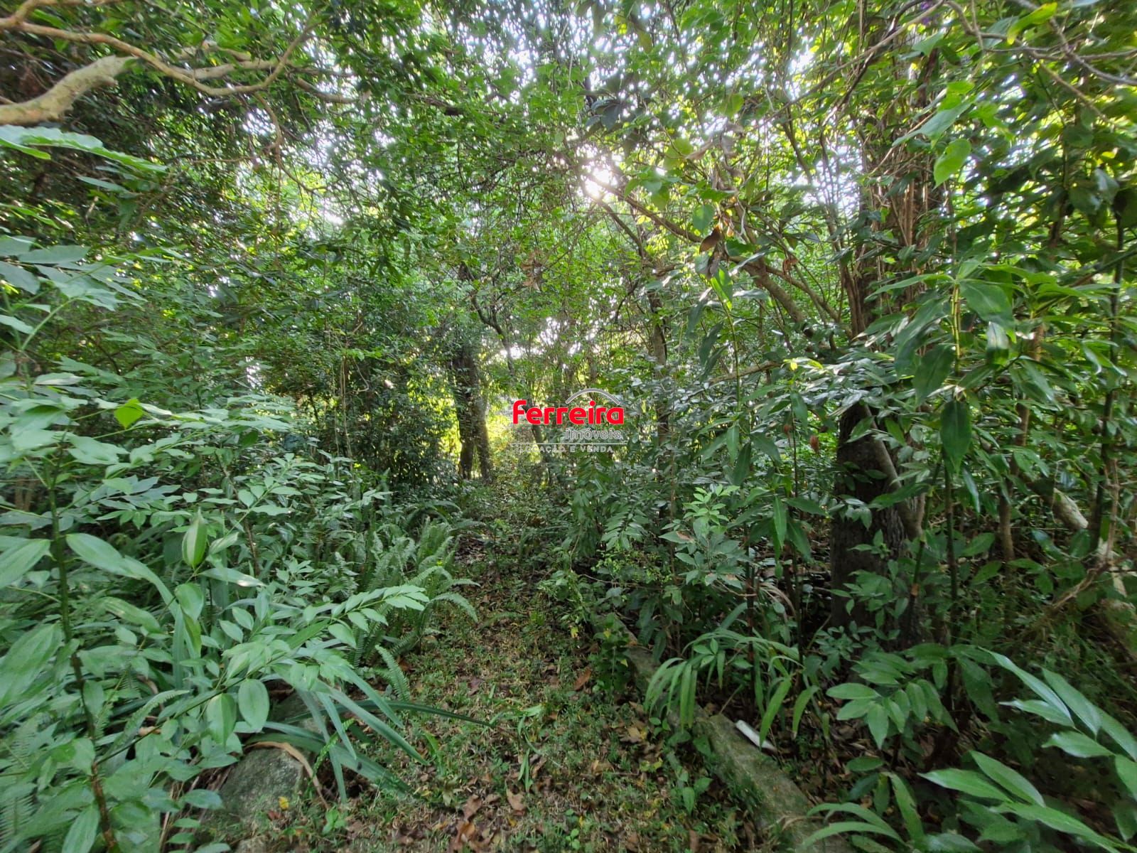 Terreno, à venda, Teresópolis - Porto Alegre — foto 4