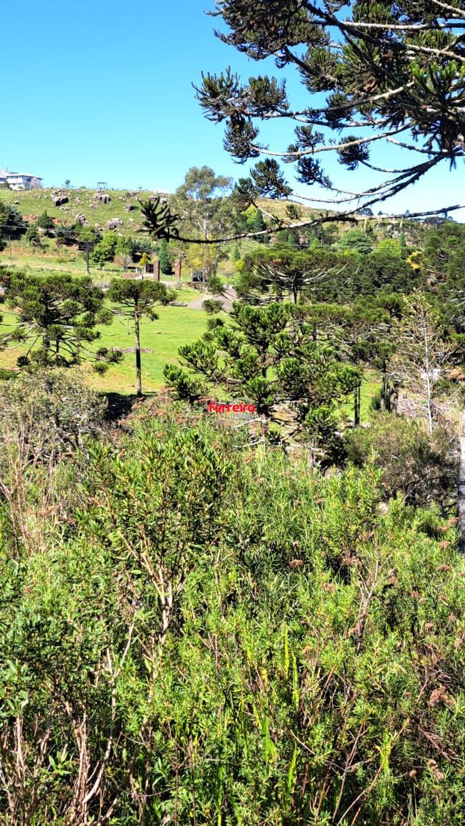 Fazenda, 3 suítes, à venda, 26 m², Centro Histórico - Bom Jardim da Serra — foto 1