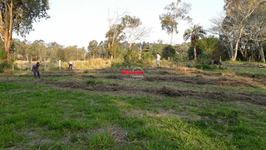 Sítio, 3 quartos, à venda, 200.000 m², Lami - Porto Alegre — foto 2