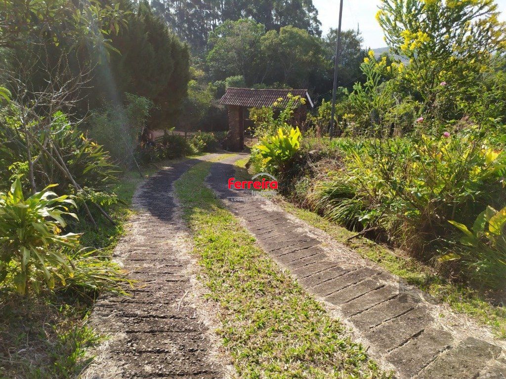 Vendo Sitio em Osório, com 41m de frente por 270m de comprimento com mata nativa preservada no fundo.