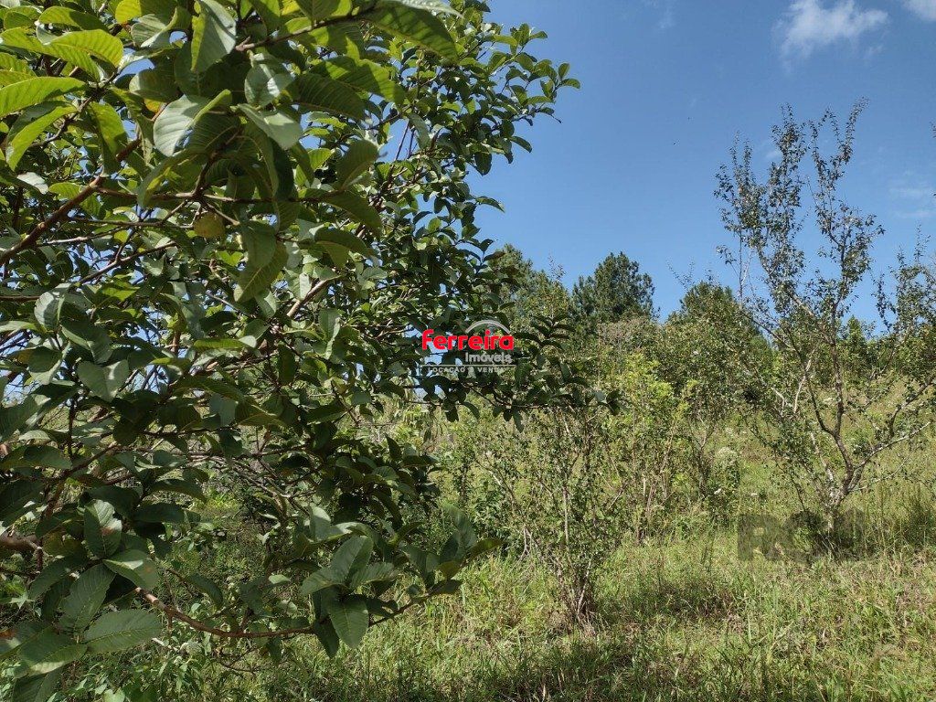 Sítio, 1 quarto, à venda, 210 m², Albatroz - Osório — foto 4