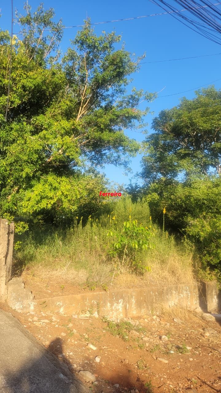 Terreno, à venda, Vila Vista Alegre - Cachoeirinha — foto 2