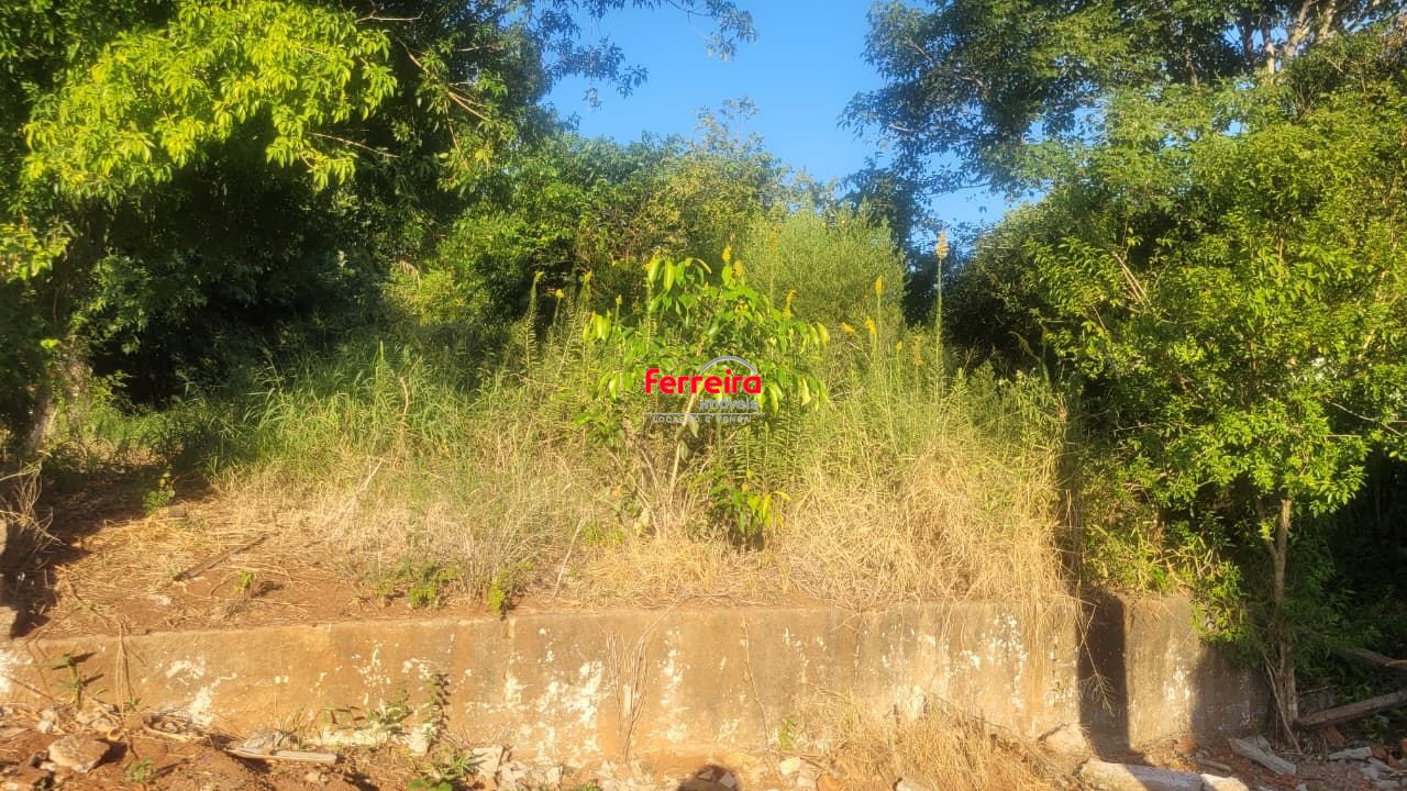 Terreno 13x30 no Leteamento Vista Alegre em Cachoeirinha