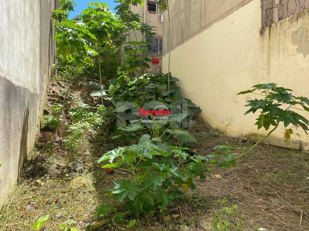 Terreno, à venda, 218 m², Centro Histórico - Porto Alegre — foto 3