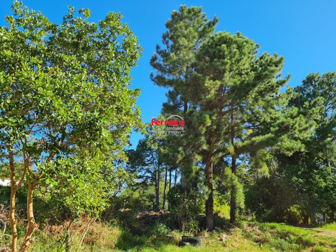 Terreno, à venda, Vila Nova - Porto Alegre — foto 4