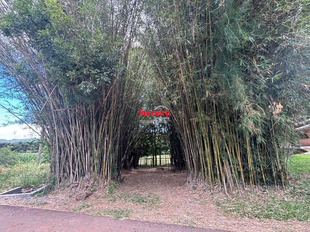 Sítio, 6 quartos, à venda, 227 m², Centro Histórico - Gramado — foto 4