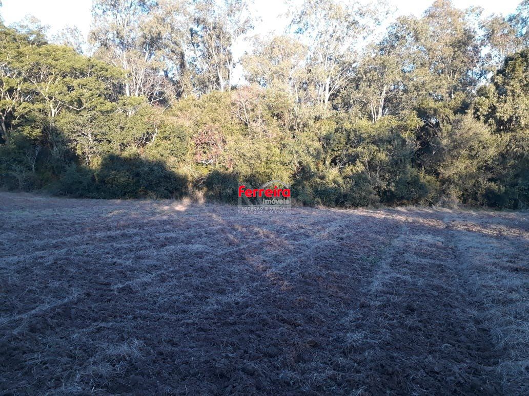 Sítio, 1 quarto, à venda, 11.270 m², Lageado - Porto Alegre — foto 2