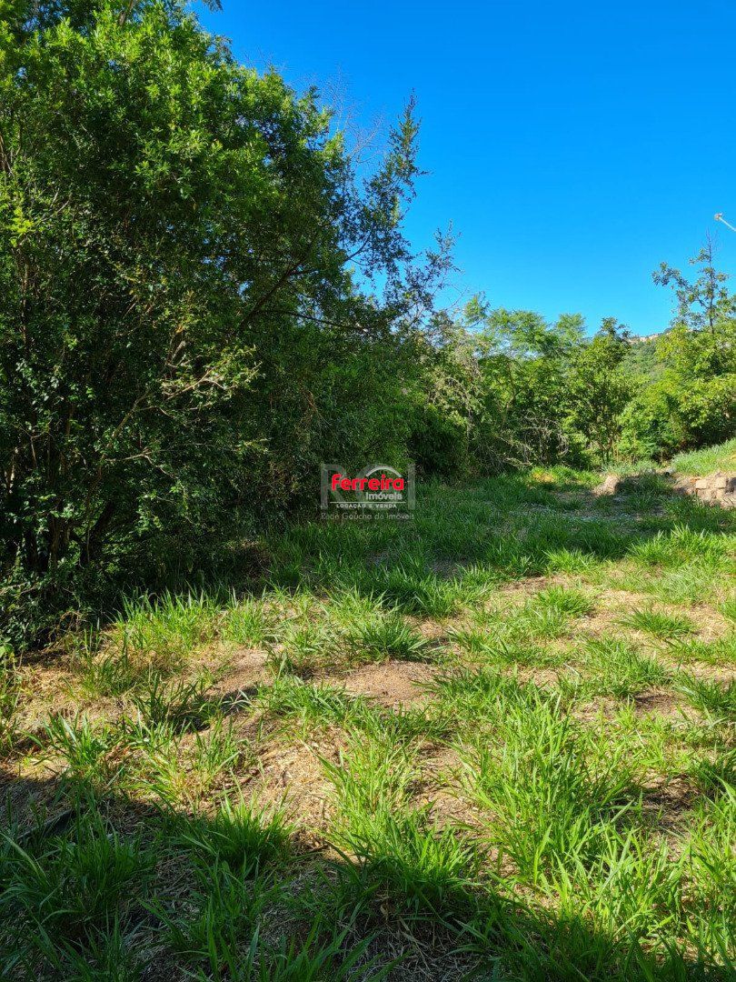 Terreno, à venda, Vila Nova - Porto Alegre — foto 3