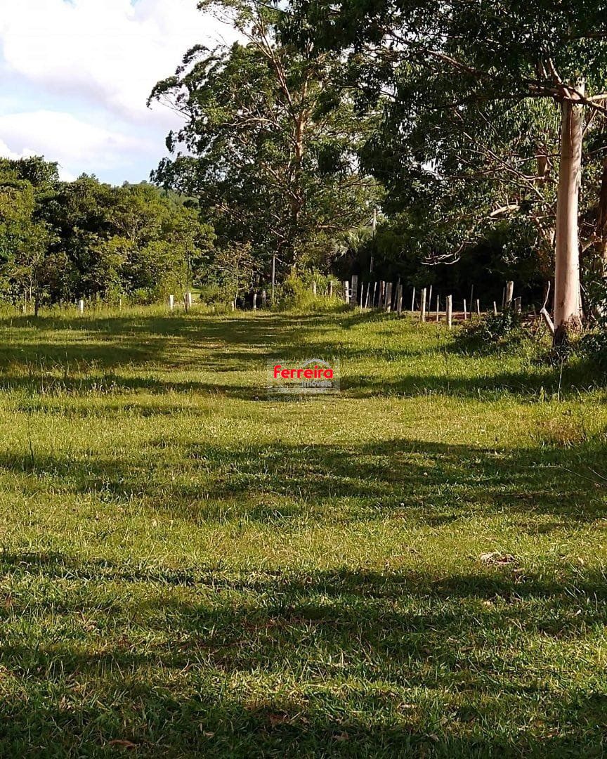 Sítio, 1 quarto, à venda, 50.000 m², Fiuza - Viamão — foto 5