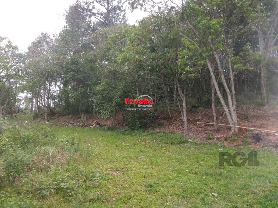 Sítio, à venda, Belém Velho - Porto Alegre — foto 2