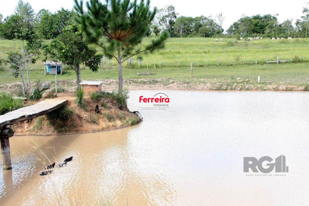 Sítio, 3 quartos, à venda, 6.000 m², Estância Grande - Viamão — foto 5