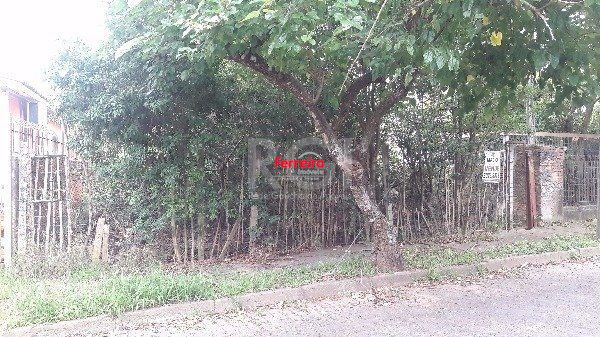 Terreno, à venda, Vila Nova - Porto Alegre — foto 3