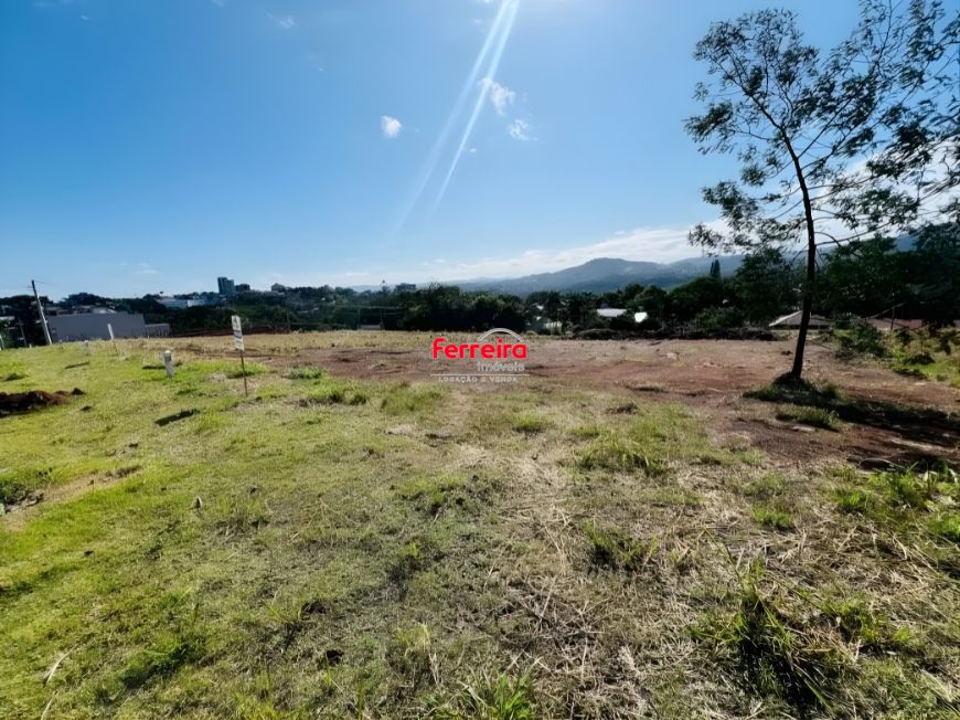 Terreno, à venda, Palmares - Ivoti — foto 4