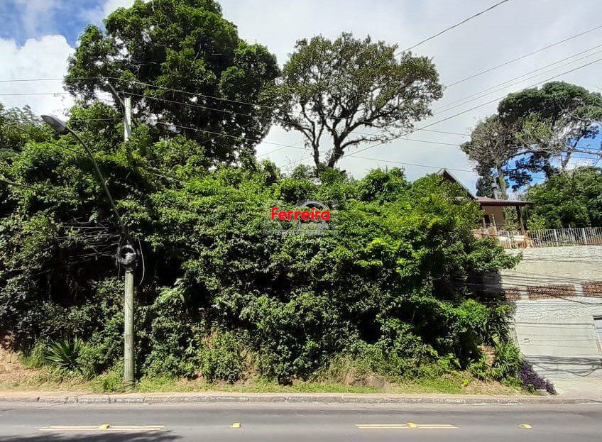 Terreno, à venda, Tristeza - Porto Alegre — foto 3