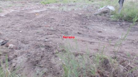 Terreno, à venda, Aberta dos Morros - Porto Alegre — foto 2
