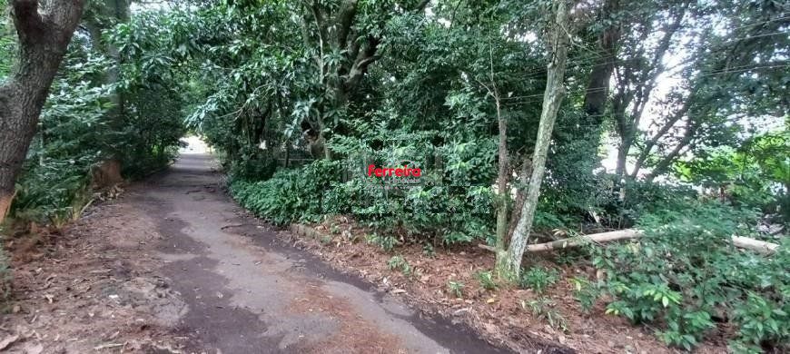 Terreno, à venda, Camaquã - Porto Alegre — foto 2