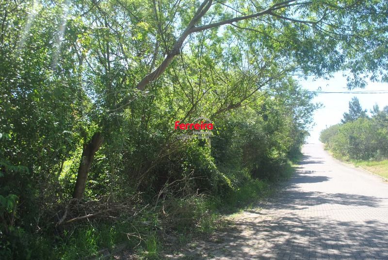 Terreno, à venda, Espírito Santo - Porto Alegre — foto 2