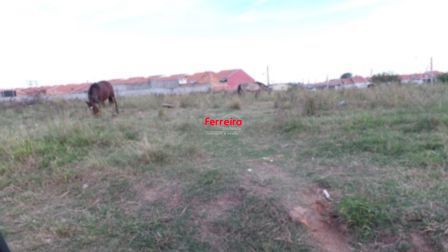 Terreno, à venda, Aberta dos Morros - Porto Alegre — foto 5