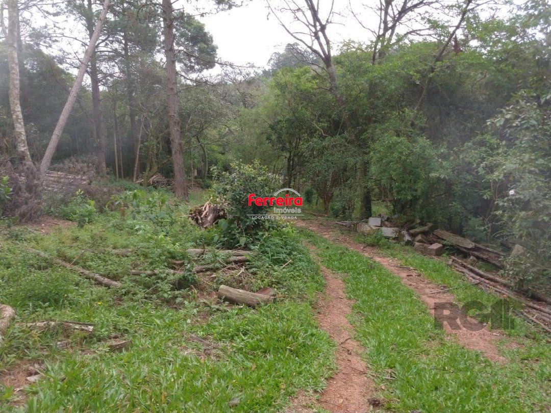 Area 6,69ha | Bairro Belem Velho