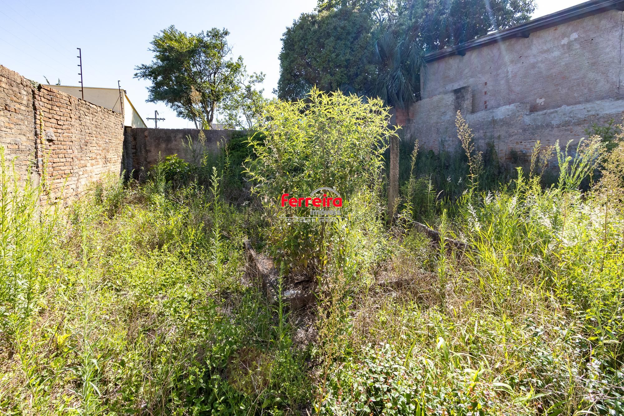 Terreno, à venda, Teresópolis - Porto Alegre — foto 5
