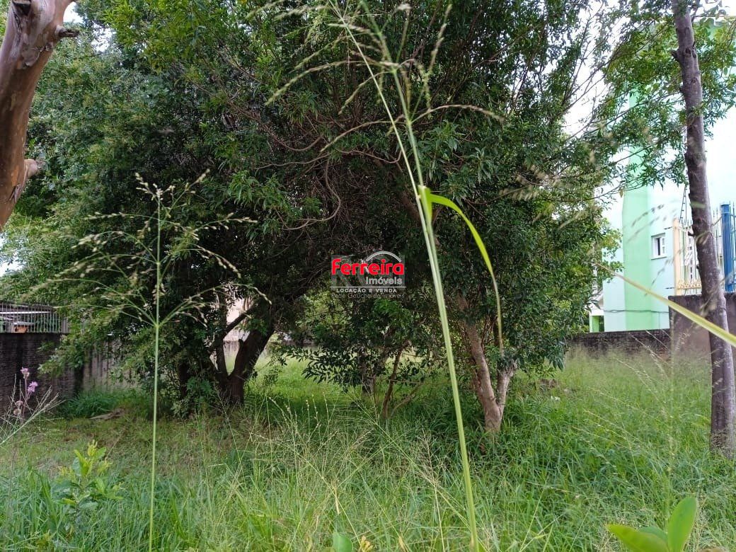 Terreno para Venda - 0m², 0 dormitórios, Tristeza