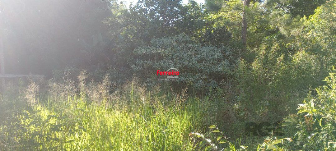 Terreno, à venda, Nonoai - Porto Alegre — foto 5