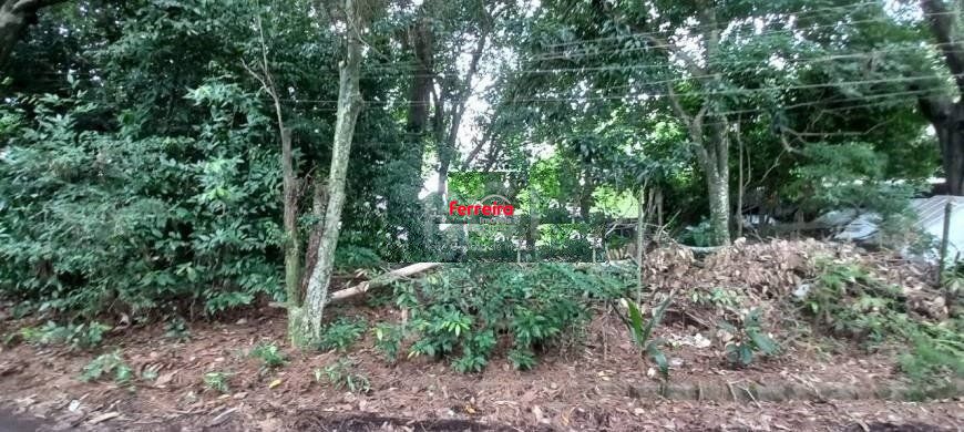 Terreno, à venda, Camaquã - Porto Alegre — foto 3