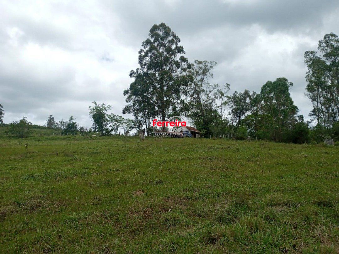 SITIO COM 12 HECTARES EM GUAIBA (RS)